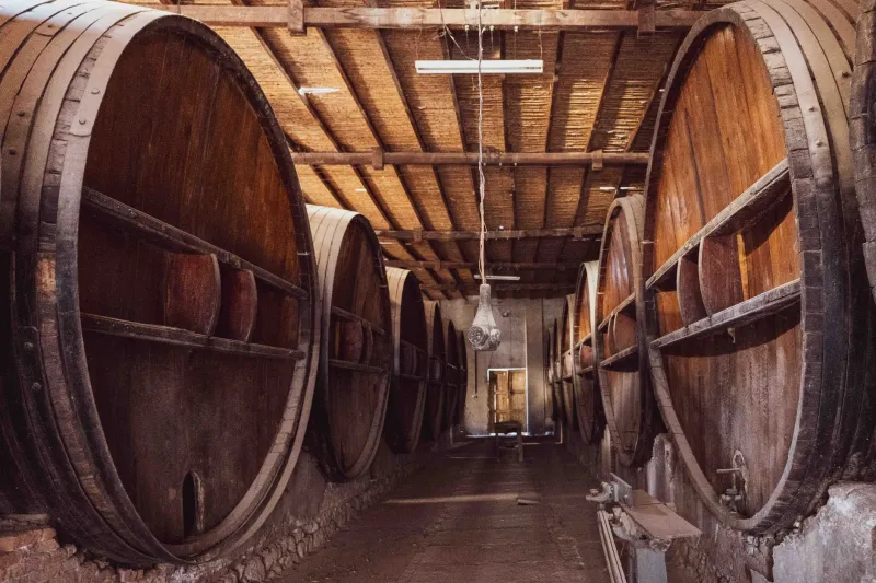Custodias del tiempo: las bodegas históricas que mantienen vivo el alma de Montilla-Moriles