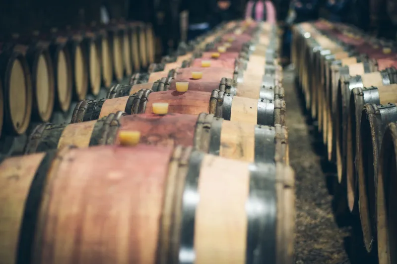 El tiempo en madera: química y tradición en la crianza oxidativa de Montilla-Moriles