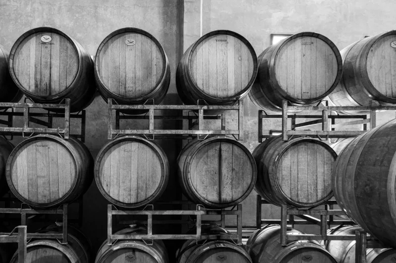 Voz propia: las enólogas y bodegueras que están escribiendo el nuevo capítulo de Montilla-Moriles