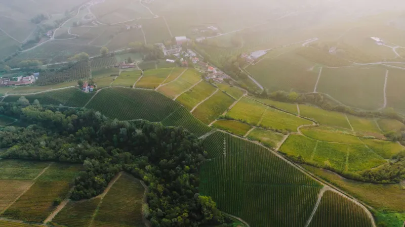 Tierra adentro: cómo los microclimas de cada parcela escriben el alma de los vinos de Montilla-Moriles