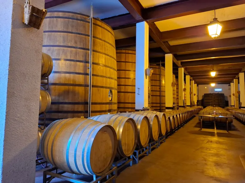 Valor en botella: por qué los coleccionistas españoles están apostando por los grandes vinos de Montilla-Moriles
